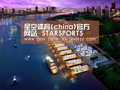 案例展示八