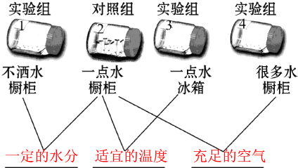 星空体育中国